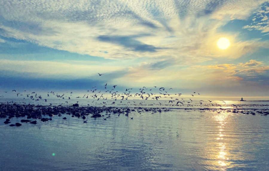 0 Bedroom Property for Sale in Shelley Point Western Cape